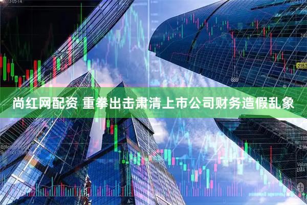 尚红网配资 重拳出击肃清上市公司财务造假乱象